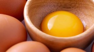 kuning-telur-678x375