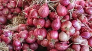 25487-bawang-merah-pixabaysuanpa